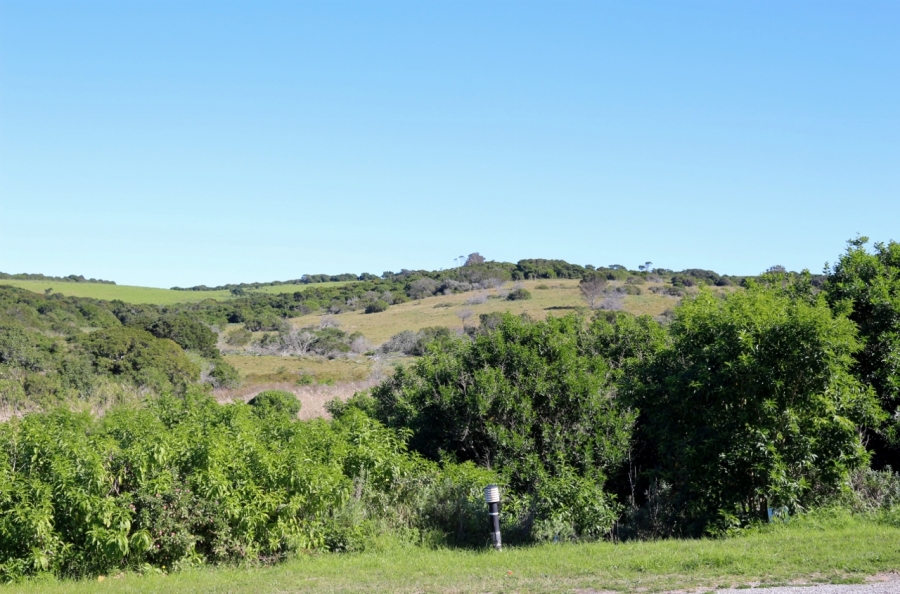 0 Bedroom Property for Sale in Forest Downs Eastern Cape